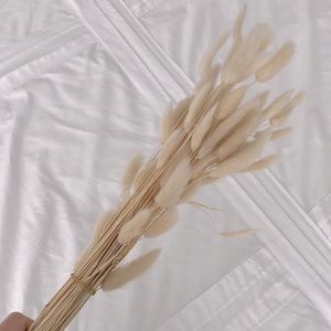 Bundle of bunny tails